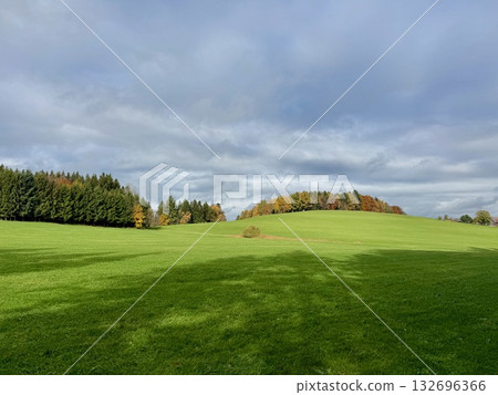 Green rolling meadow with tree-lined hill under cloudy sky Green rolling meadow with tree-lined hill under cloudy sky 132696366