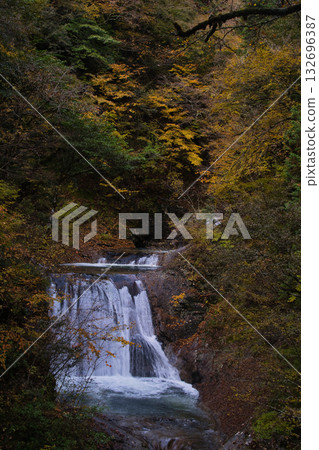 Autumn leaves in Nishizawa Valley, Yamanashi Prefecture 132696387