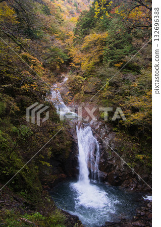 山梨縣西澤谷的秋葉 132696388
