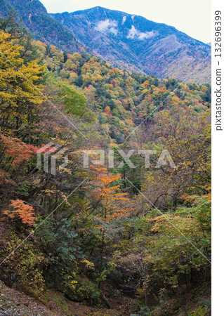 山梨縣西澤谷的秋葉 山梨縣西澤谷的秋葉 132696399