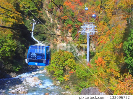 苗場龍纜車的秋天(新潟縣湯澤町) 苗場龍纜車的秋天(新潟縣湯澤町) 132696722