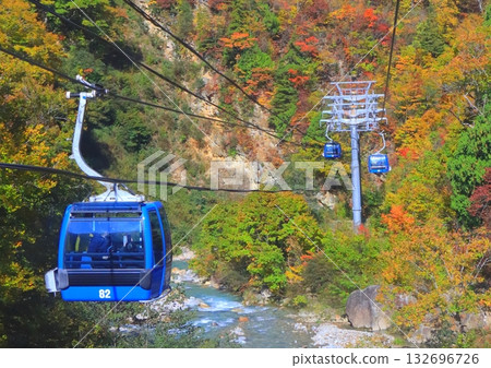 苗場龍纜車的秋天（新潟縣湯澤町） 132696726