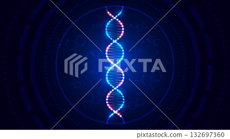 Abstract Digital Network Background with Glowing DNA and Hexagon Structure. Abstract Digital Network Background with Glowing DNA and Hexagon Structure. 132697360