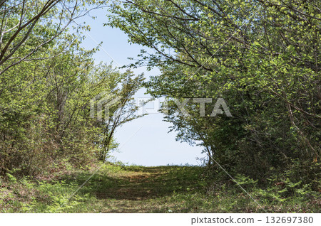 Ibaraki Sukegawayama Citizens' Forest Hiking Course (Hitachi City) Ibaraki Sukegawayama Citizens' Forest Hiking Course (Hitachi City) 132697380