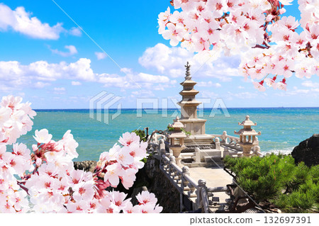 Three-story pagoda on rocky seashore and sakura flowers, Haedong Yonggungsa temple, Busan, South Korea. Sea sceneries of Haedong Yonggung temple with ancient stone pagoda and branch of blooming sakura 132697391