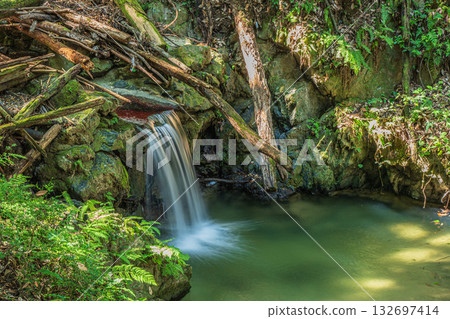 A mountain stream flowing into the Uji River, Momiji Valley, Uji City, Kyoto Prefecture 132697414