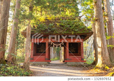《Nagano Prefecture》 Cedar trees on the approach to Togakushi 132697652