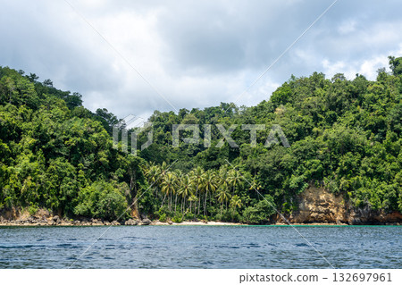 Paradise beach with palm trees, Togian Islands, Sulawesi, Indonesia Paradise beach with palm trees, Togian Islands, Sulawesi, Indonesia 132697961