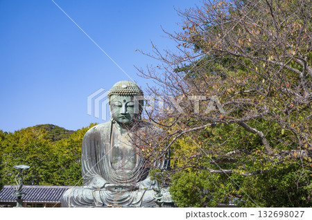Refreshing blue sky and the Great Buddha of Kamakura 132698027