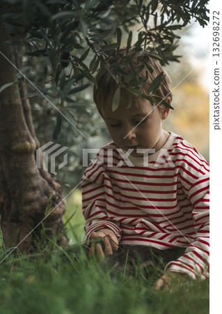 Child boy Under Olive Tree. Childhood in Nature Child boy Under Olive Tree. Childhood in Nature 132698272