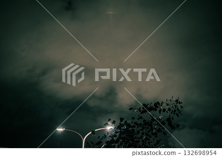 Street lights and leaves shining under the night sky Street lights and leaves shining under the night sky 132698954