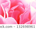 Petal rose petals 132698961