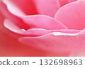 Petal rose petals 132698963