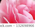 Petal rose petals 132698966