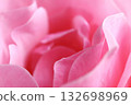 Petal rose petals 132698969