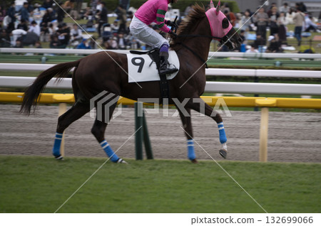 Tokyo Racecourse (Fuchu Racecourse) 132699066