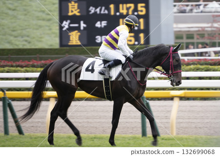 東京賽馬場(府中賽馬場) 東京賽馬場(府中賽馬場) 132699068