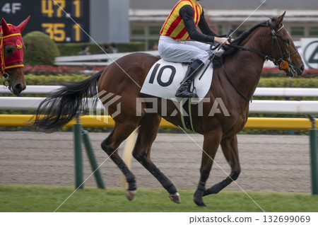 Tokyo Racecourse (Fuchu Racecourse) 132699069