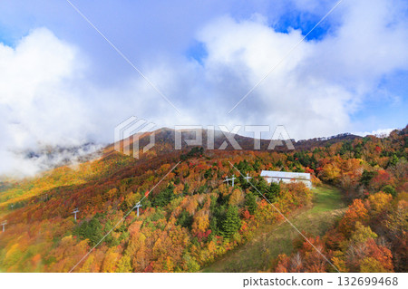 Yamagata Zao Plateau at its best for autumn leaves 132699468