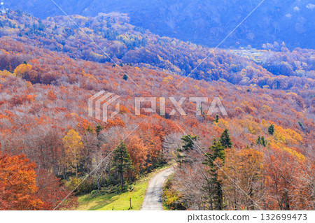 山形藏王高原是觀賞秋葉的最佳地點。 132699473