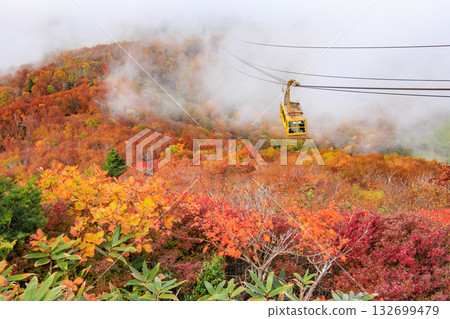 Yamagata Zao Plateau at its best for autumn leaves Yamagata Zao Plateau at its best for autumn leaves 132699479