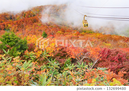 Yamagata Zao Plateau at its best for autumn leaves Yamagata Zao Plateau at its best for autumn leaves 132699480