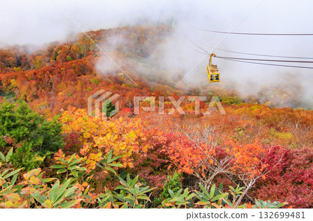 Yamagata Zao Plateau at its best for autumn leaves 132699481