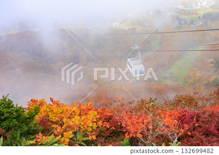 山形藏王高原是觀賞秋葉的最佳地點。 132699482