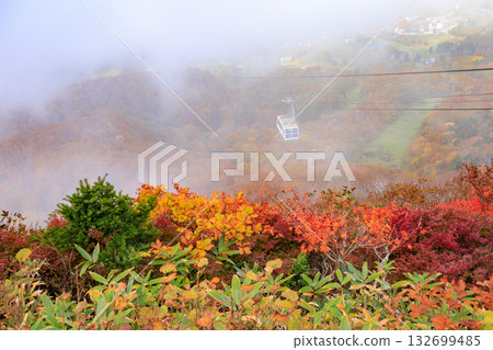 Yamagata Zao Plateau at its best for autumn leaves 132699485