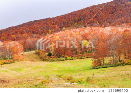 山形藏王高原是觀賞秋葉的最佳地點。 132699490