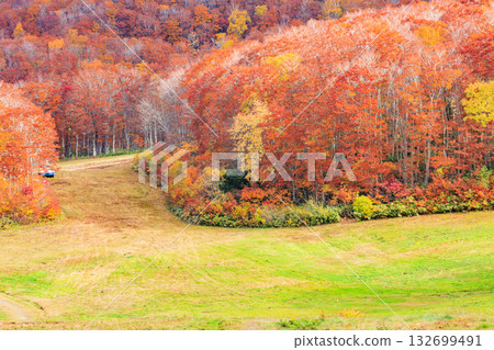 Yamagata Zao Plateau at its best for autumn leaves 132699491