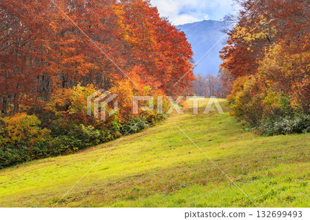 Yamagata Zao Plateau at its best for autumn leaves 132699493