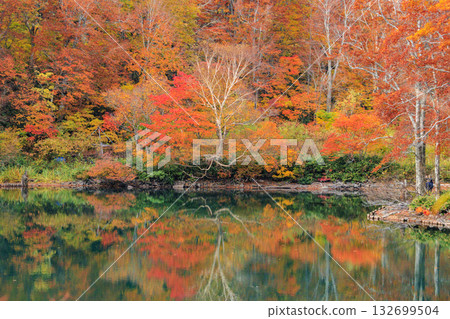Yamagata Zao Plateau at its best for autumn leaves 132699504