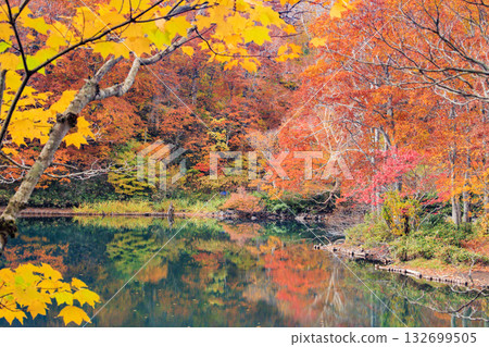 Yamagata Zao Plateau at its best for autumn leaves 132699505