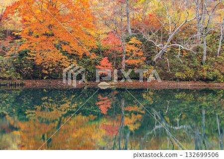 山形藏王高原是觀賞秋葉的最佳地點。 132699506