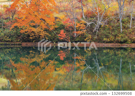Yamagata Zao Plateau at its best for autumn leaves 132699508