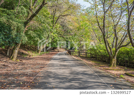 京都府宇治市天瀨森林公園的秋景 132699527