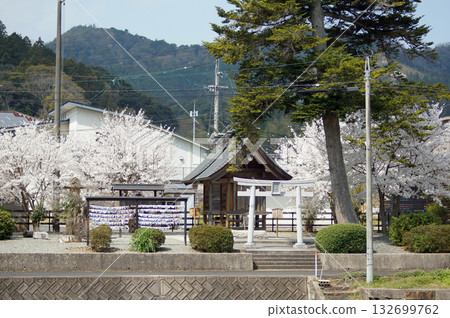 象徵良好人際關係的田中神社的櫻花位於島根縣松江市郊外通往佐田神社的路上。 132699762