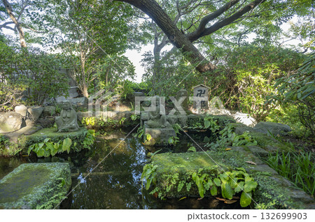 鎌倉長谷寺卍字池 132699903