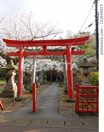 位於國寶松江城內的歷史悠久的城山稻荷神社，朱紅色的鳥居和櫻花，拉夫卡迪奧·赫恩幾乎每天都會去那裡參觀。 132699923