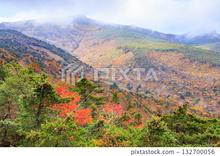 Mt. Adatara at its best when the autumn leaves are in full bloom 132700056