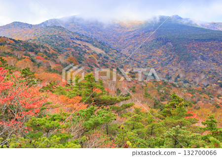 Mt. Adatara at its best when the autumn leaves are in full bloom 132700066