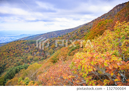 阿達塔拉山在秋葉繁茂之時最迷人。 132700084