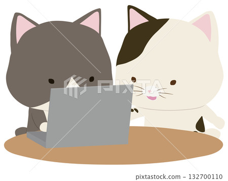 A tabby cat operating a laptop and a tabby cat teaching A tabby cat operating a laptop and a tabby cat teaching 132700110