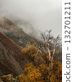 Mountain valley on a foggy day. Vertical view. 132701211