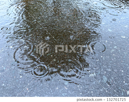 水坑 水坑 132701725