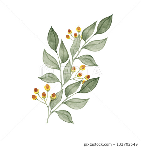 Watercolor botanical illustration of green branch with yellow berries, elegant hand-painted foliage element for floral design and natural decor Watercolor botanical illustration of green branch with yellow berries, elegant hand-painted foliage element for floral design and natural decor 132702549