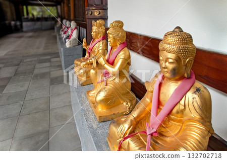 Echizen Great Buddha, Golden Buddha Statues at the Qingdao Temple (Fukui) 132702718