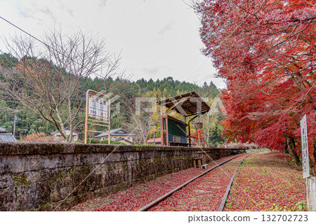 Autumn leaves at Meitetsu Mikawa Hirose Station 132702723