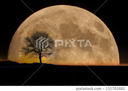 月亮升起的山 月亮升起的山 132702882